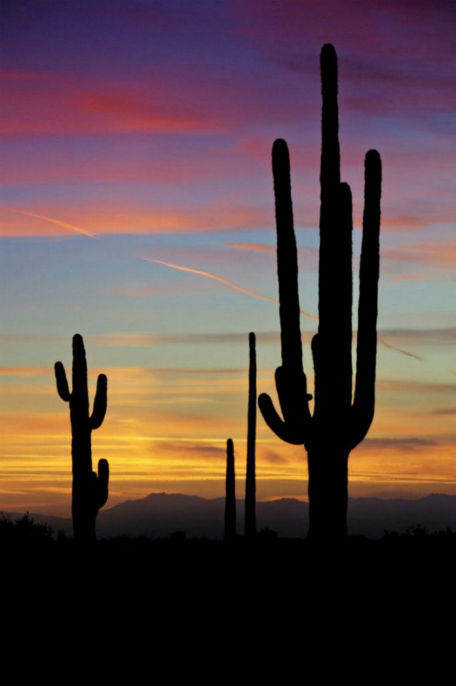 above fold sunset desert .jpg